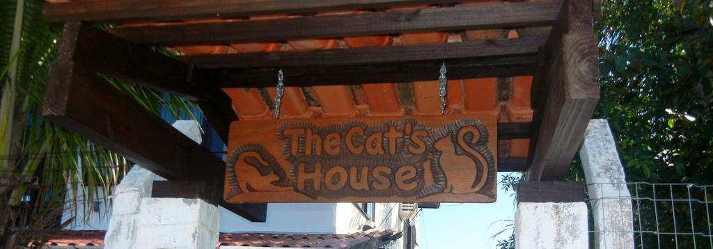 Florianópolis The Cats' House酒店 外观 照片